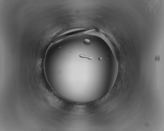 X0000090920066200707301541