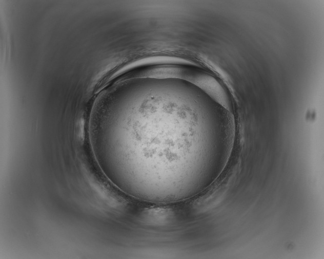 X0000090920067200707301541