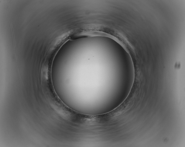 X0000090920068200707301541
