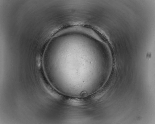 X0000090920069200707301541