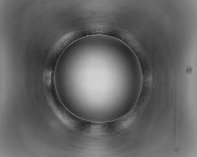 X0000090920070200707301541