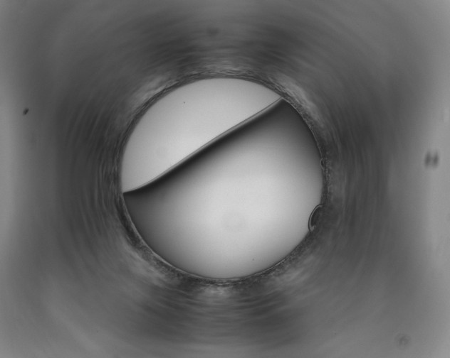 X0000090920071200707301541