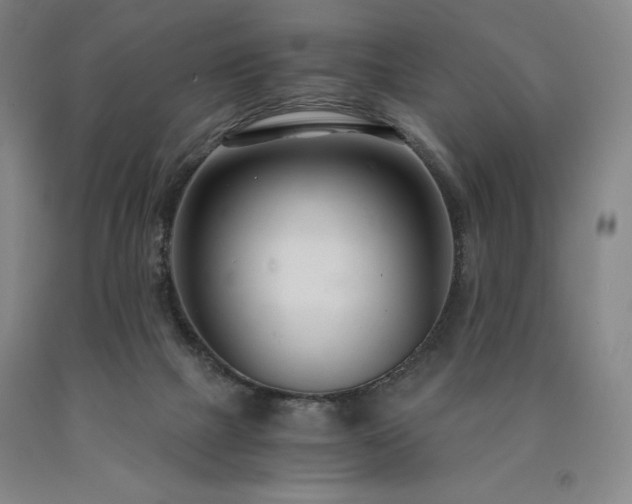 X0000090920073200707301541