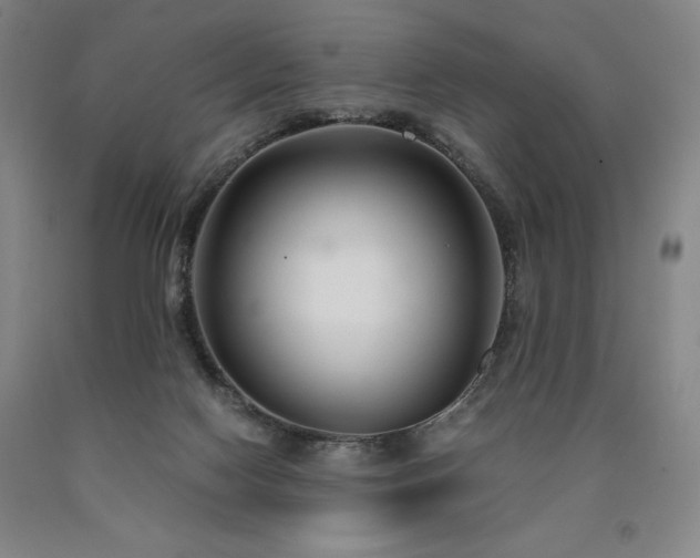 X0000090920074200707301541