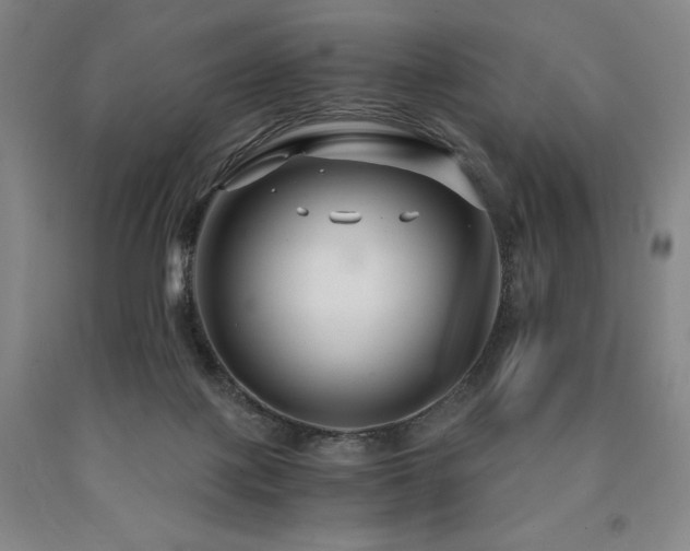 X0000090920075200707301541