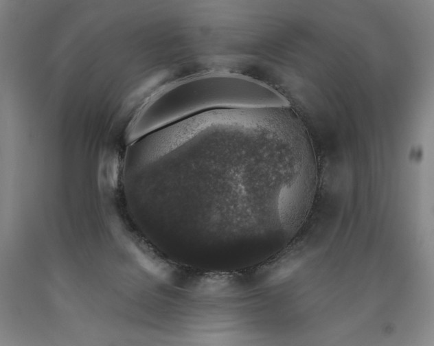 X0000090920076200707301541