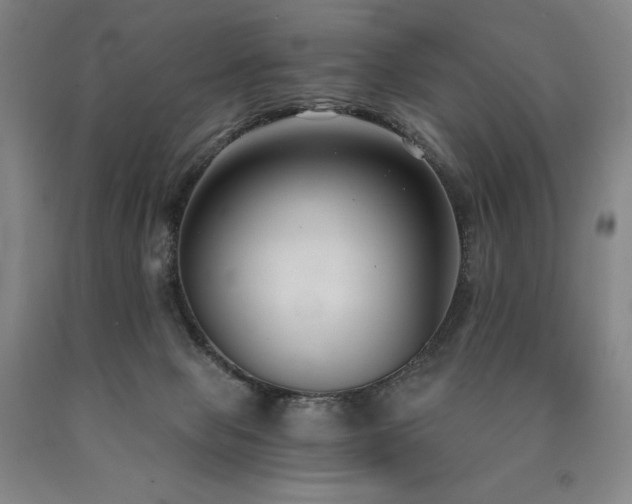 X0000090920077200707301541
