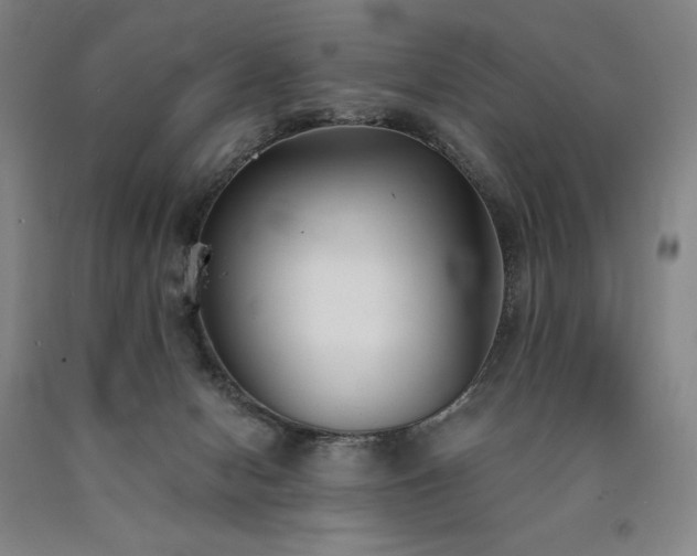 X0000090920078200707301541