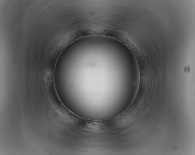 X0000090920079200707301541