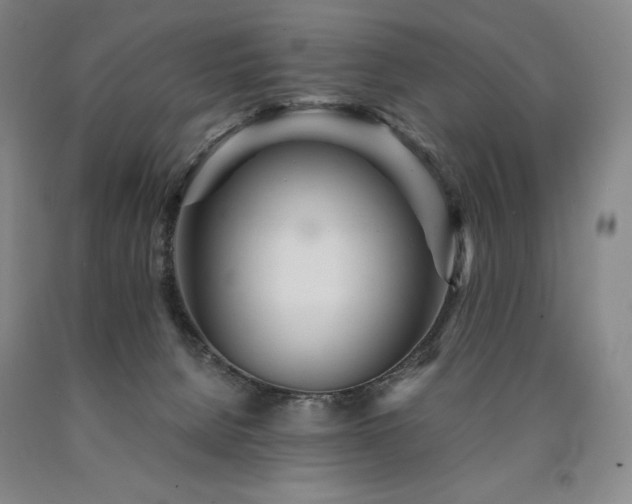 X0000090920080200707301541