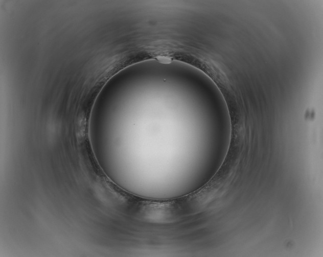 X0000090920081200707301542