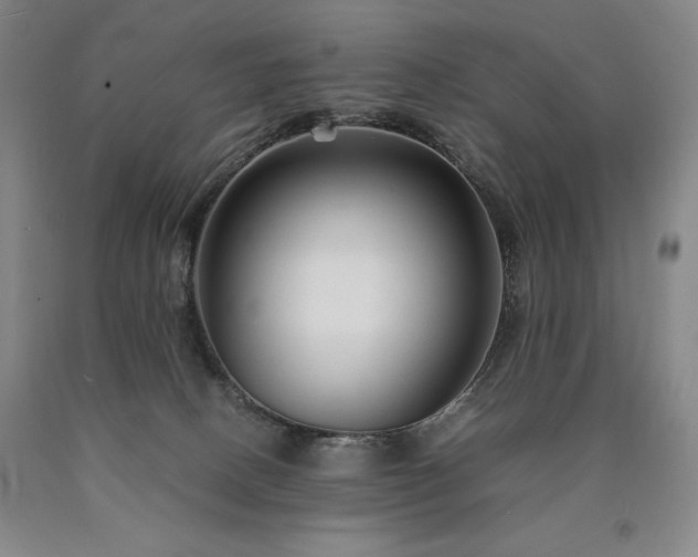 X0000090920082200707301542