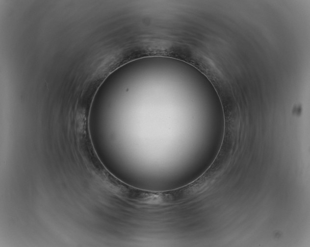 X0000090920083200707301542