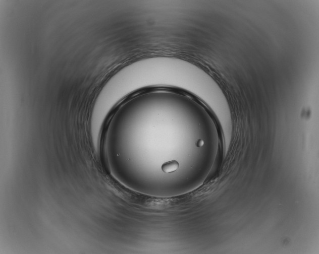 X0000090920084200707301542