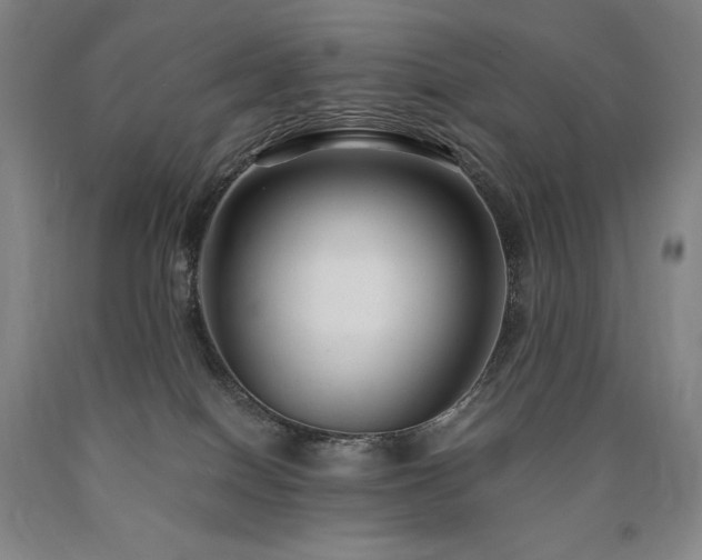 X0000090920086200707301542