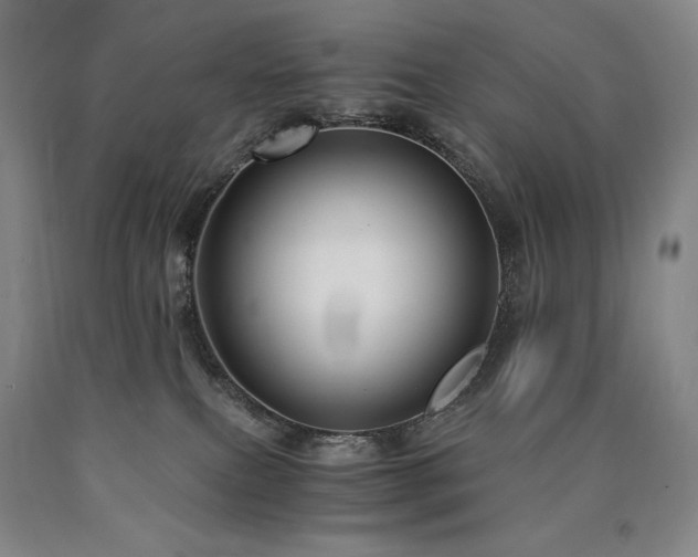 X0000090920087200707301542