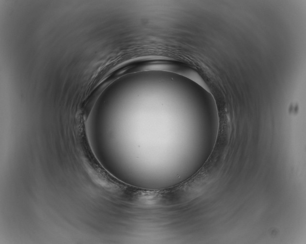 X0000090920088200707301542
