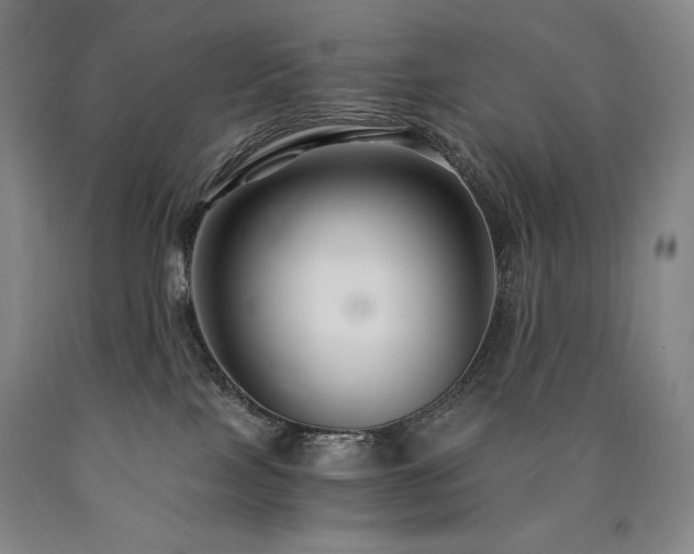 X0000090920089200707301542