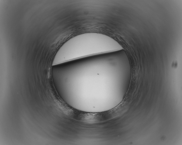 X0000090920090200707301542