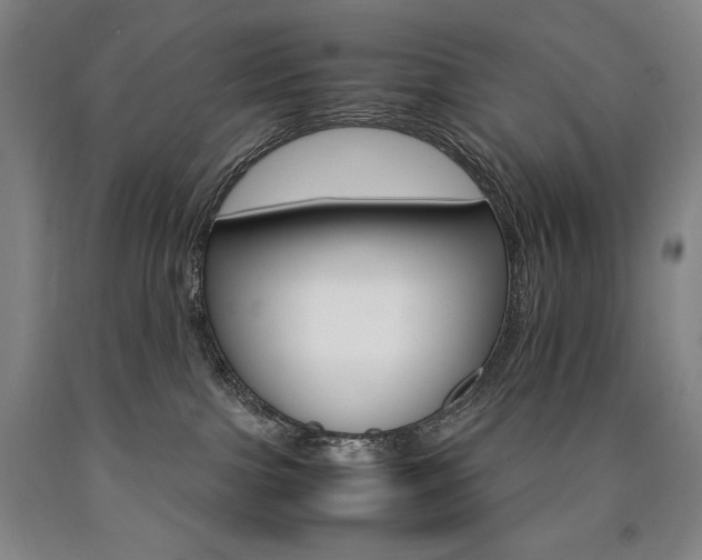 X0000090920091200707301542