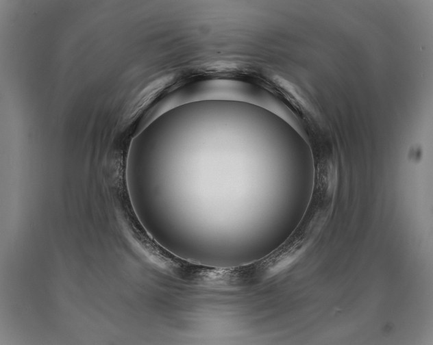X0000090920092200707301542