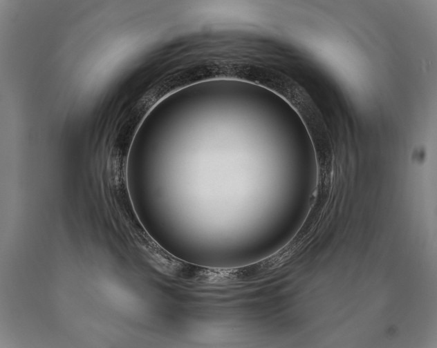 X0000090920093200707301542