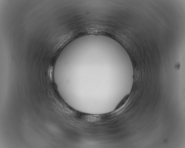 X0000090920094200707301542