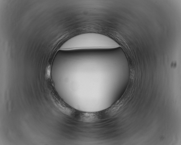 X0000090920095200707301542