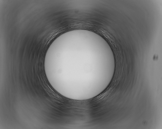 X0000090920096200707301542