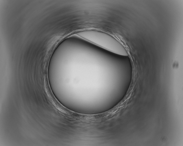 X0000090920097200707301541