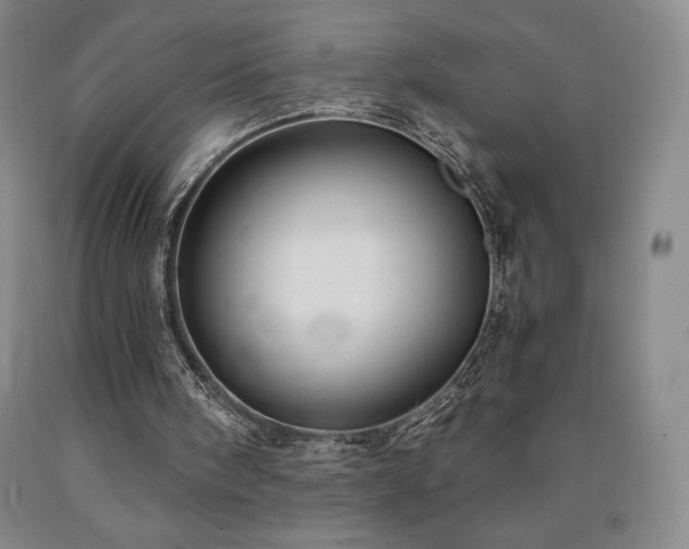 X0000090920098200707301541
