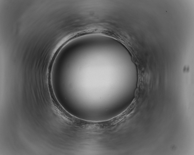 X0000090920100200707301541