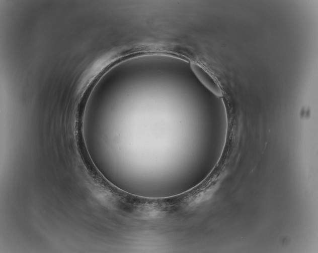 X0000090920103200707301541