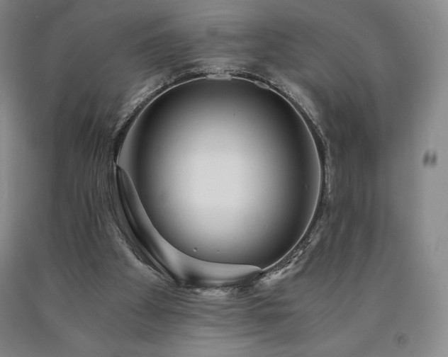 X0000090920105200707301541