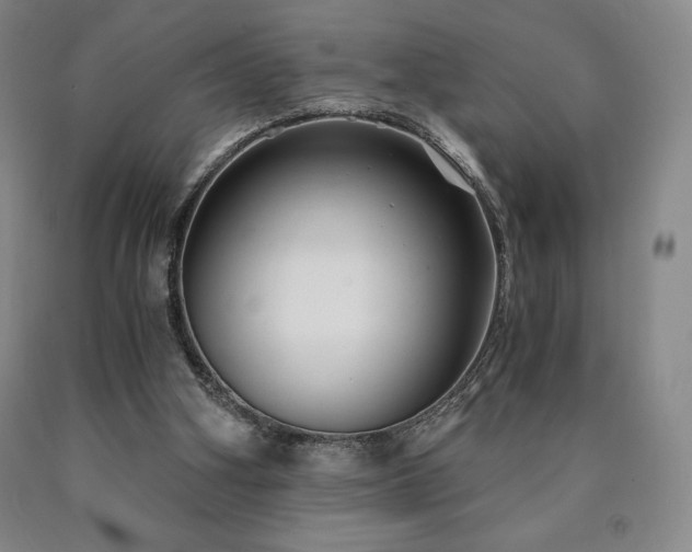 X0000090920106200707301541
