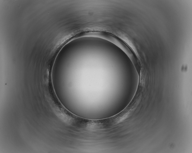 X0000090920109200707301541