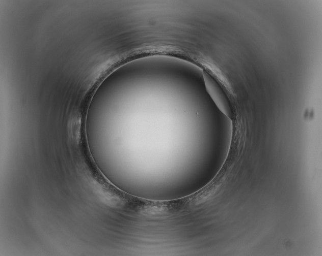 X0000090920110200707301541