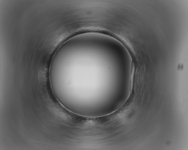 X0000090920111200707301541