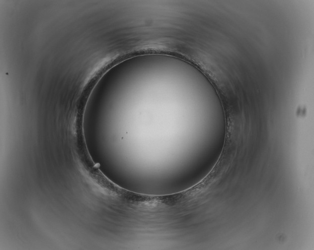 X0000090920112200707301541