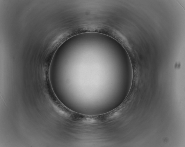 X0000090920114200707301541