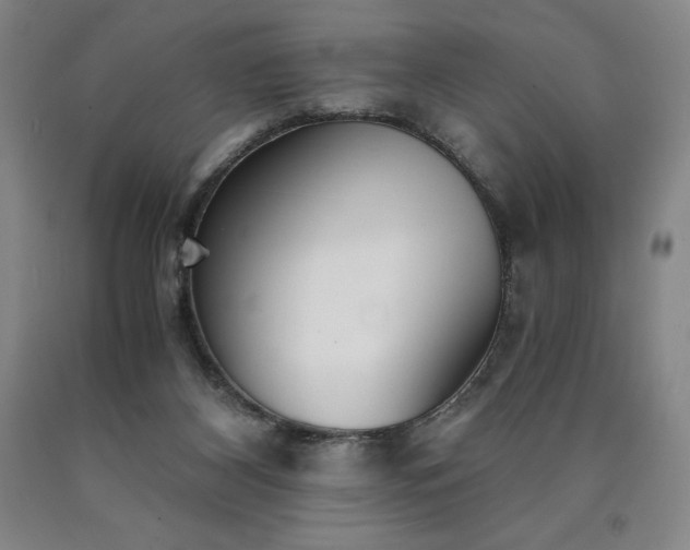 X0000090920116200707301541