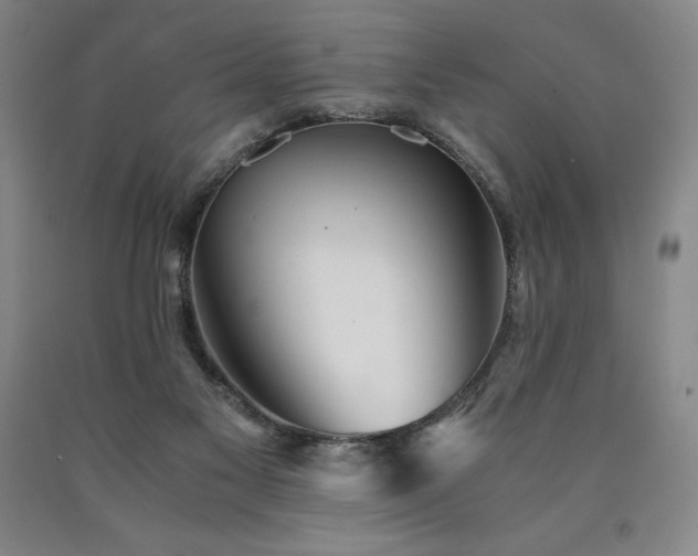 X0000090920117200707301541