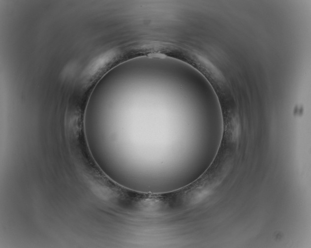 X0000090920119200707301541