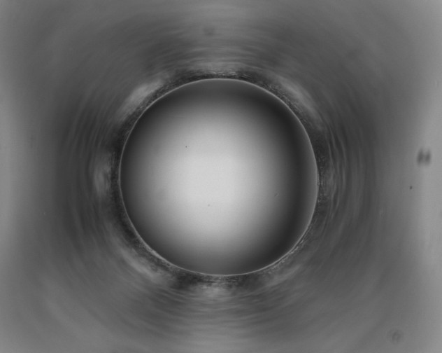 X0000090920120200707301541