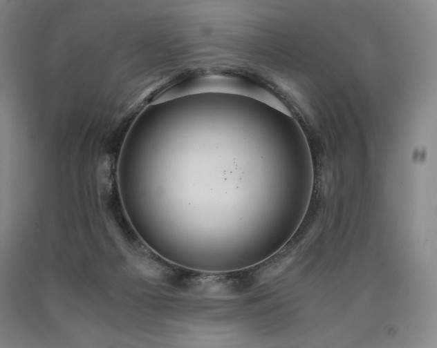 X0000090920121200707301541