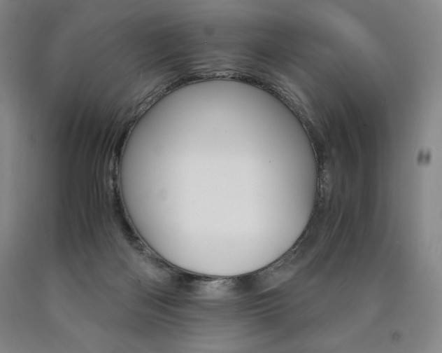 X0000090920122200707301541