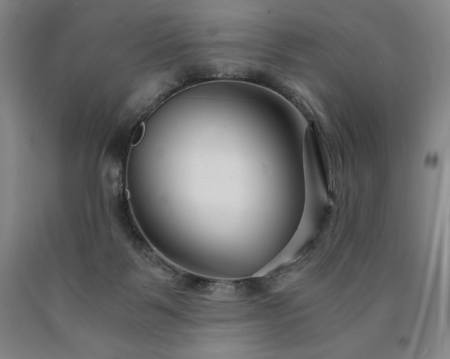 X0000090920123200707301541