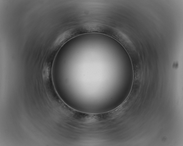 X0000090920124200707301541