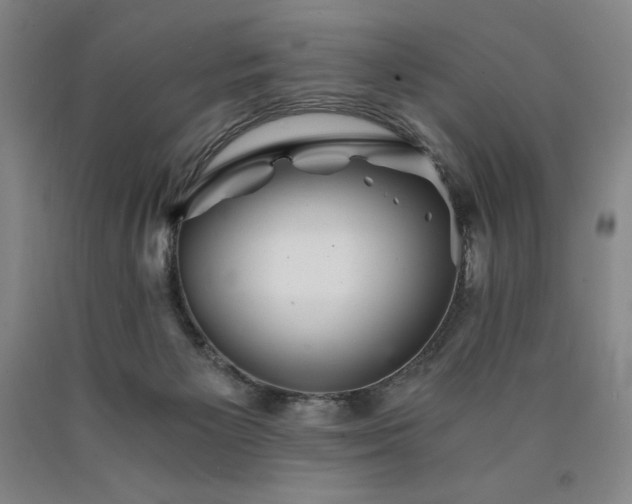 X0000090920125200707301541