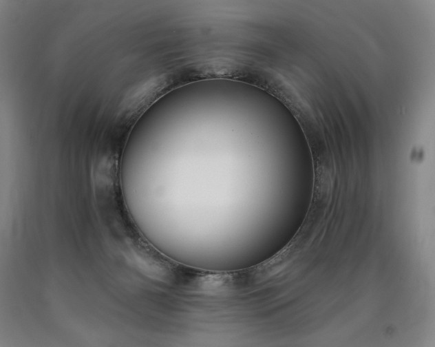 X0000090920126200707301541